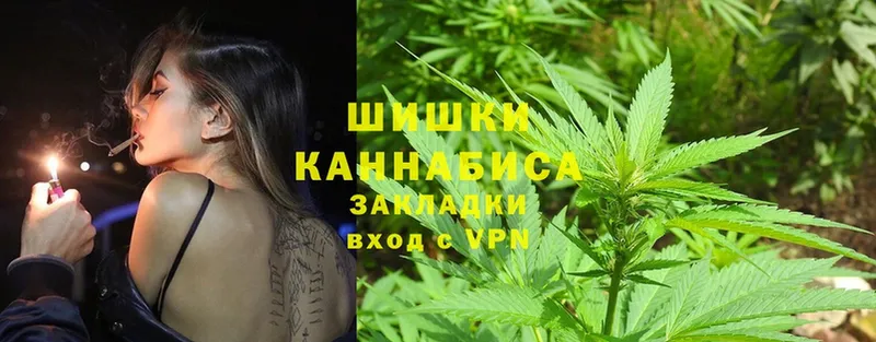 Конопля White Widow  купить наркотик  Заозёрск 